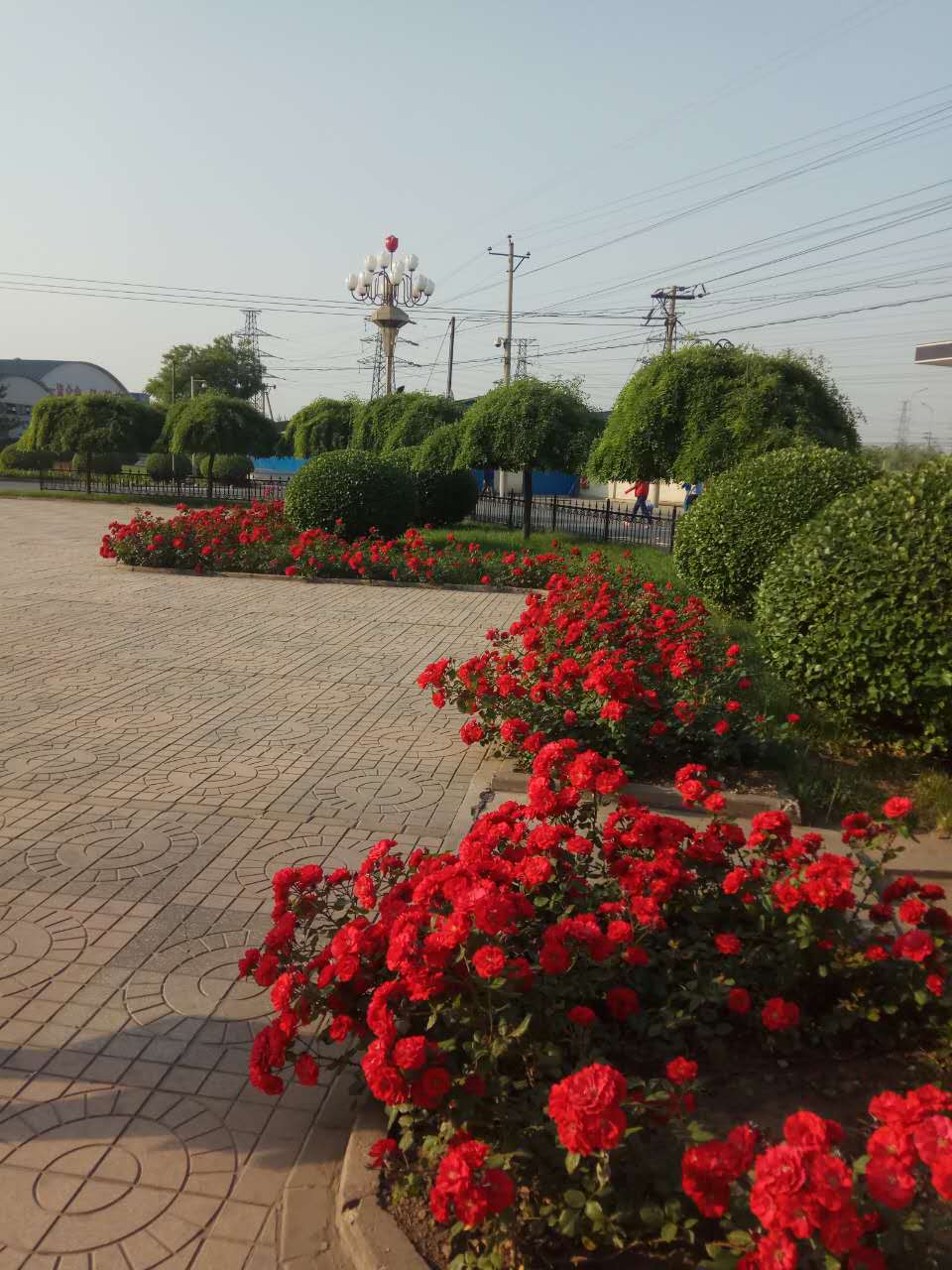 绿色cq9电子在线登录